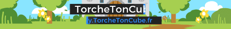 TorcheTonCube